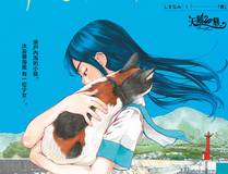 角色头像